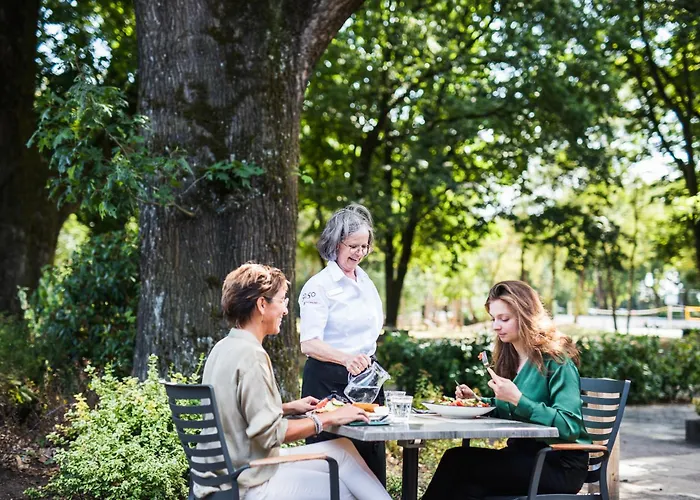 50|50 Belmont ホテル 3*